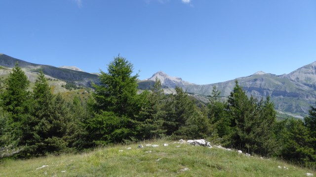 A la sortie de la forêt, la Cime de Pal