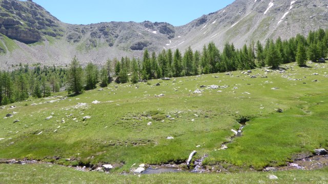 Dans le Vallon de la Braïssa