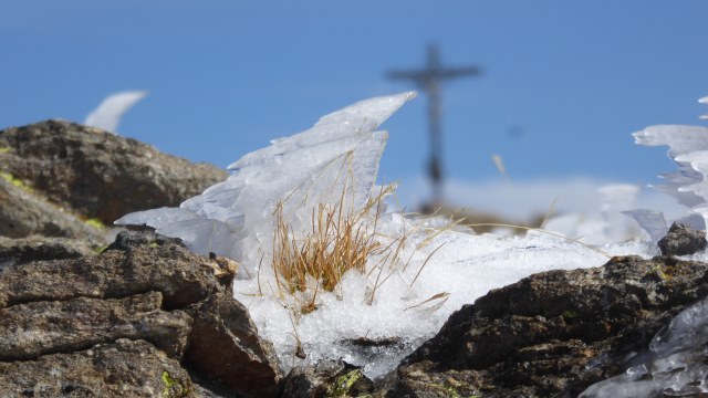 Sur la Cime de la Lombarde