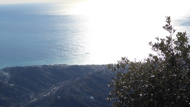 Plongée vers la mer