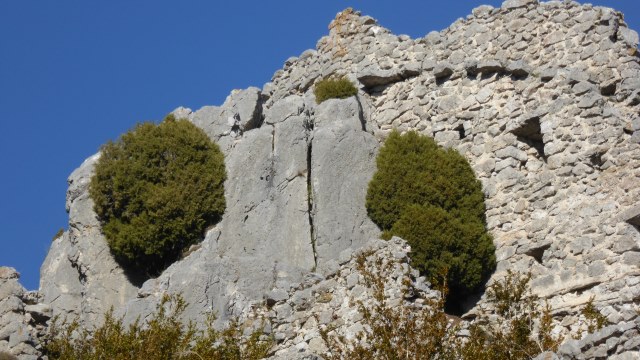 Toujours debout depuis le XVIème siècle