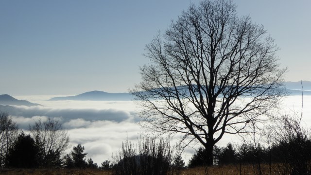 La tête au-dessus des nuages