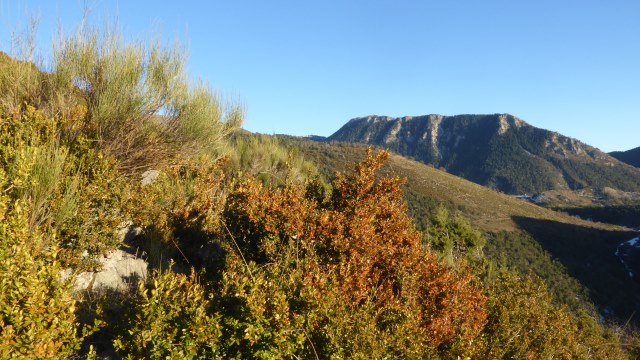 Sur la Crête de la Pelau