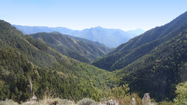 Vallon du Riou du Figaret