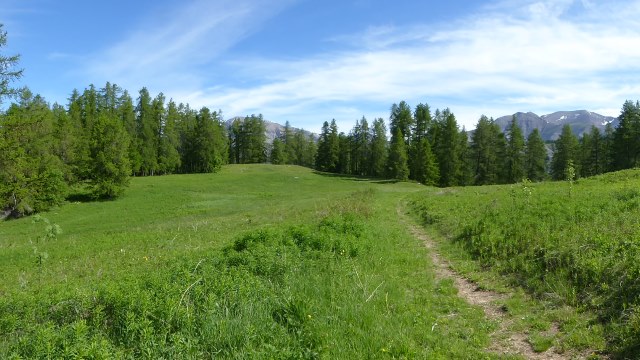 A la Cabane de l'Herbe Blanche