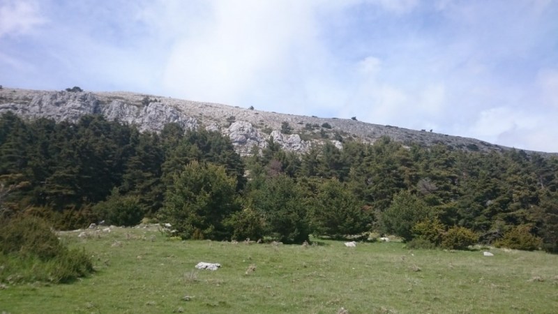 Fin des falaises, juste avant le passage