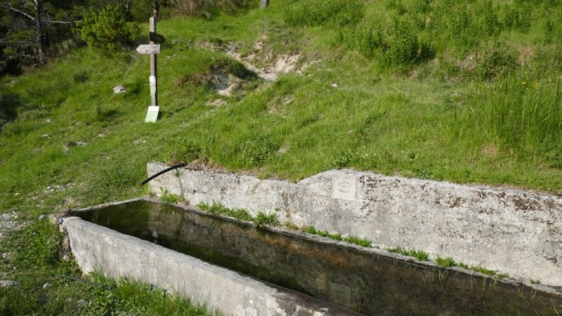 Fontaine de la Pinée