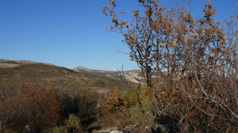 La crête entre les deux baous