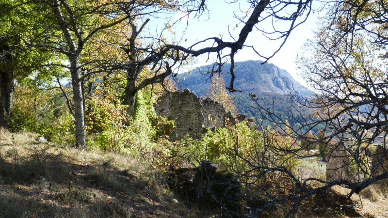 Hameau de Curnier