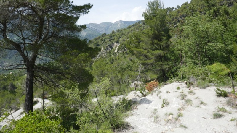 Dans la montée vers la Baisse de la Croix