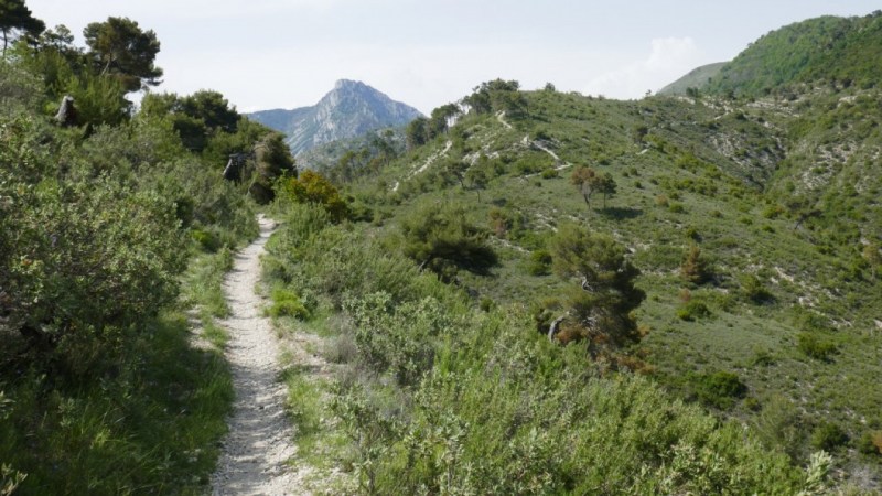 Sentier vers la Baisse de Busia