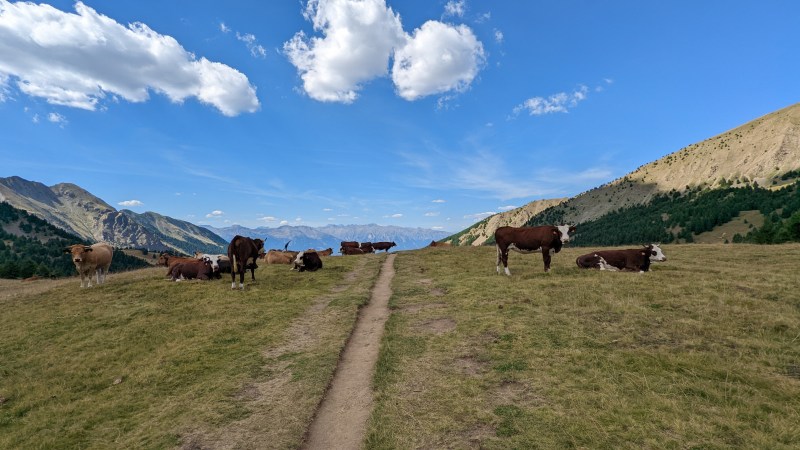 Retour sur le plancher des vaches