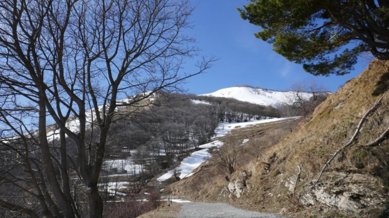 Sur la piste, à Case Penna