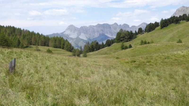 Col des Trente Souches