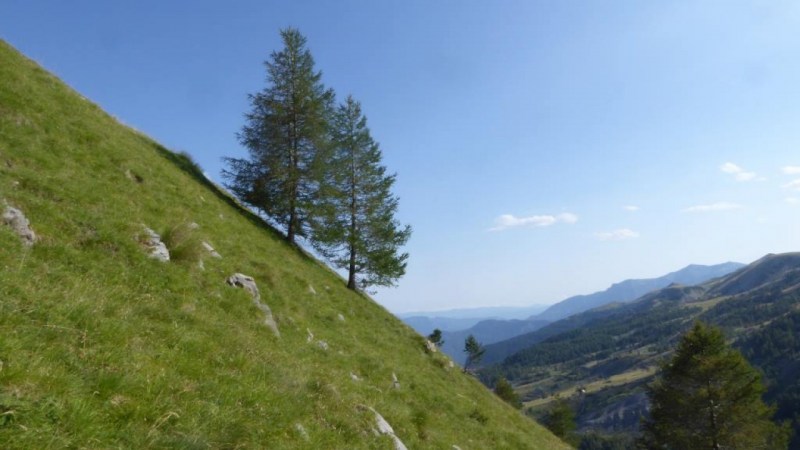 Entre le Col de Pal et le Vallon de la Barlatte