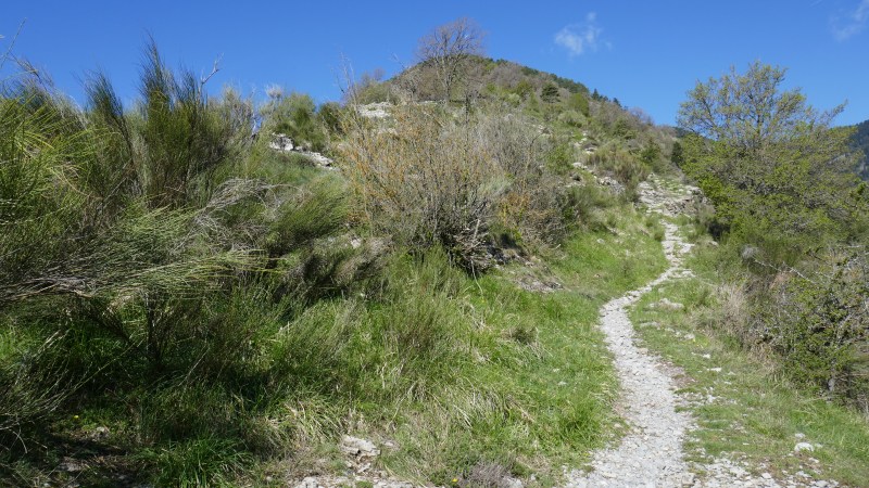 Le sentier qui gravit la crête