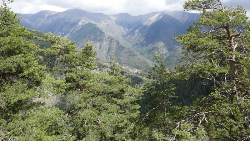 Descente vers le Moulinet