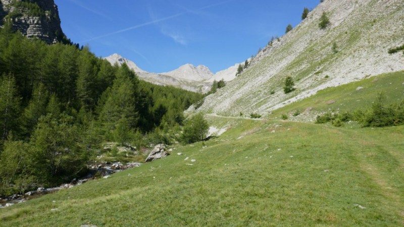 Départ dans la prairie de la Cayolle