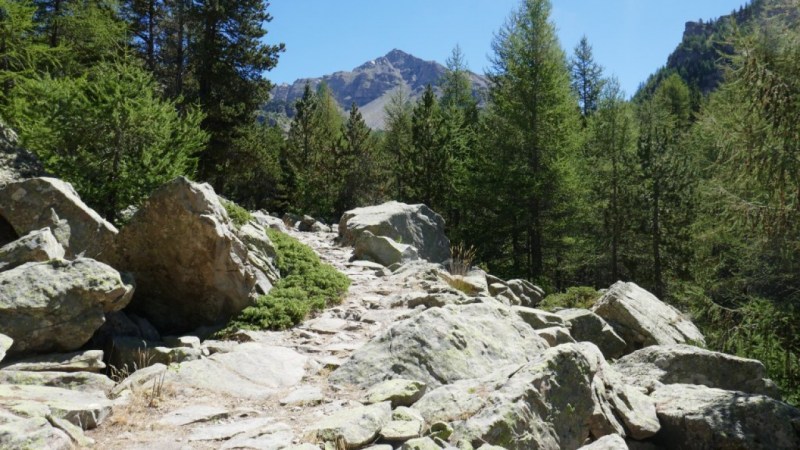 Le sentier aménagé dans le Vallon de la Sanguinière