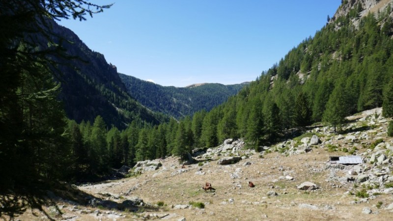 Gias Peïrastrèche, sous le Refuge de la Cougourde