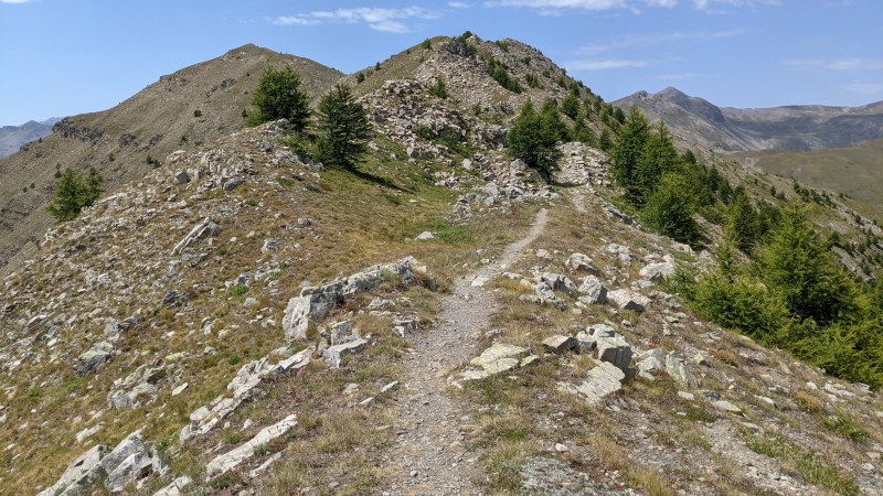 Le long de la Crête de la Blanche