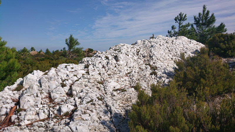 Filon de quartz blanc