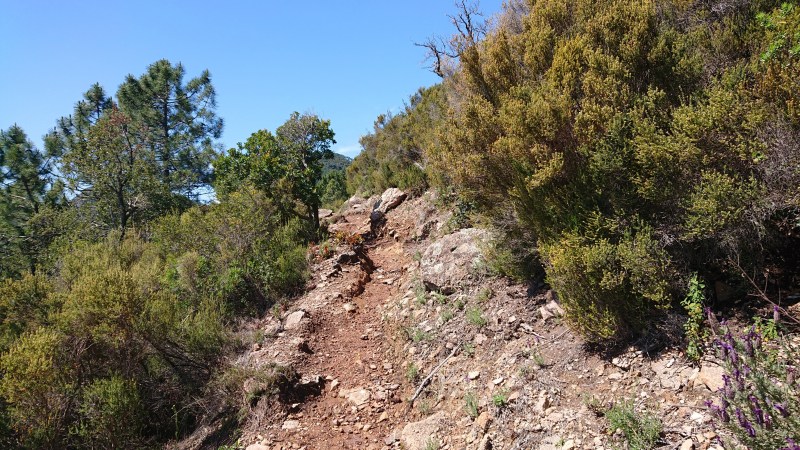 Sentier sous le Rocher des Monges