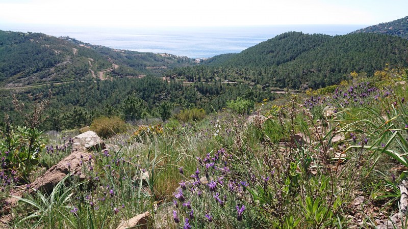 Du Col des Monges vers le Port de la Figueirette