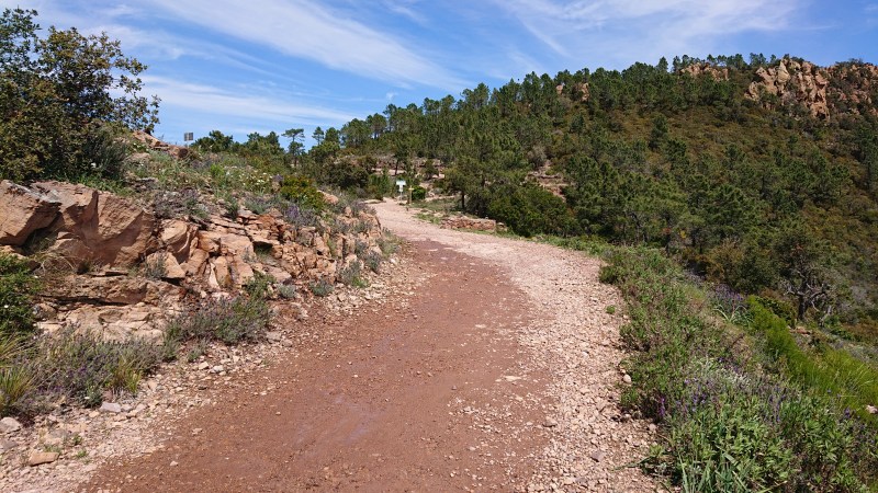 Arrivée au Col de Théoule