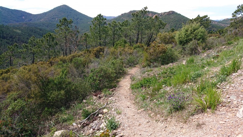 Le petit sentier vers le Vallon de l'Autel