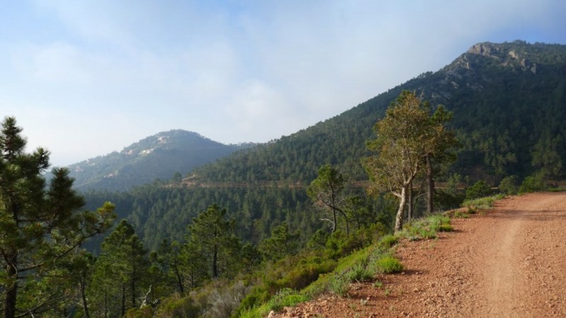 Du Col du Trayas vers le Pic Martin