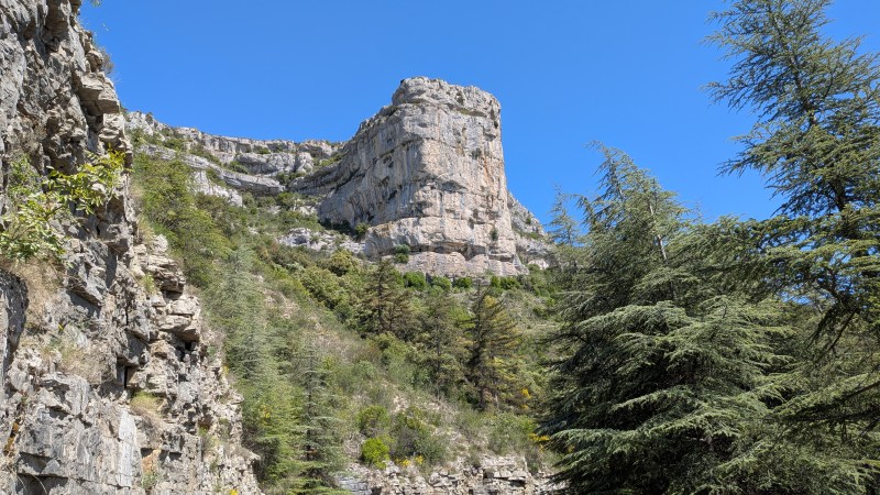 Rocalte