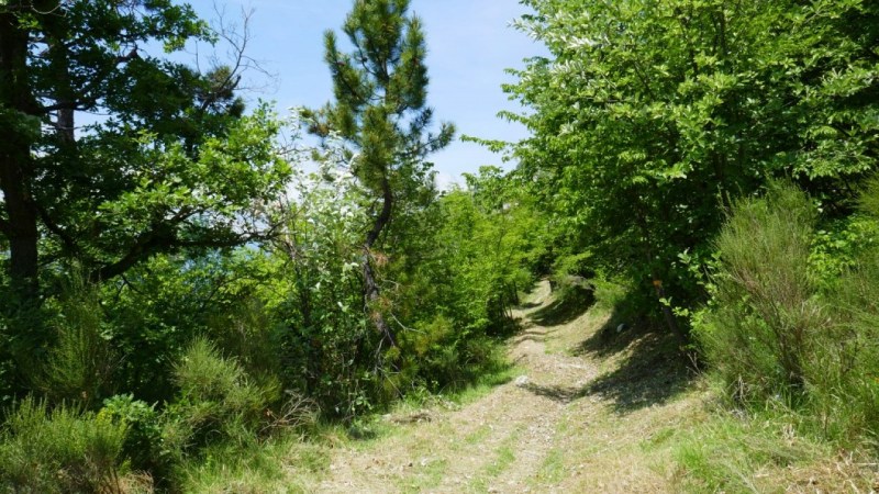 Au départ du sentier au Col de Castillon