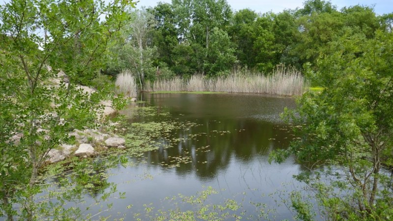 Le petit étang de Maure Vieil