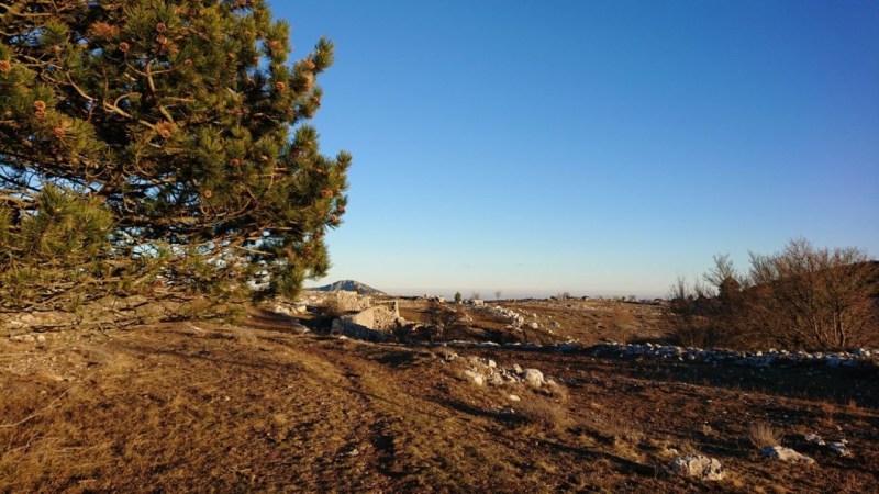 Bergerie abandonnée du Plateau de Caussols