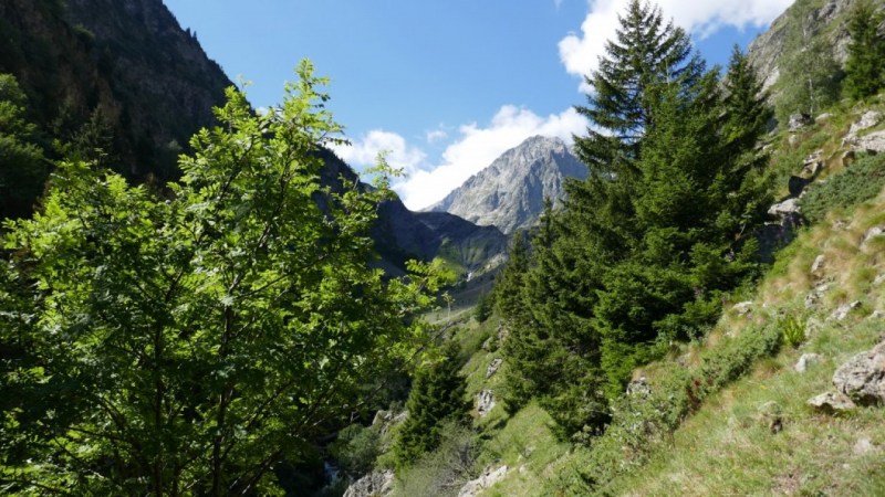 Dans le vallon, au sortir de la forêt