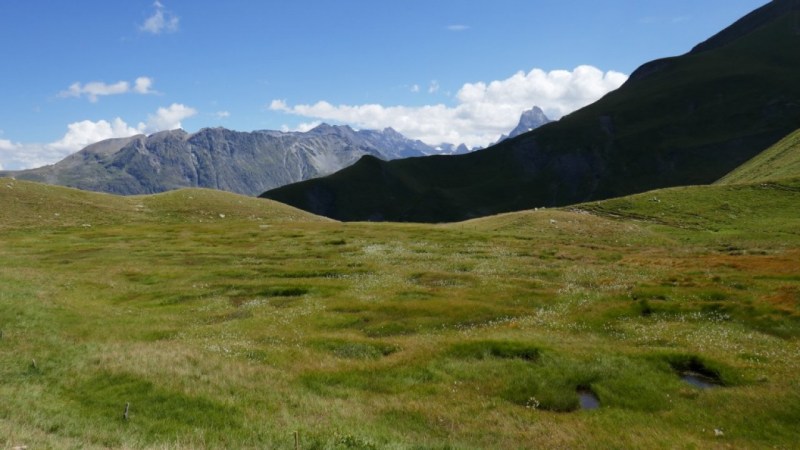 Tourbières de la Muzelle