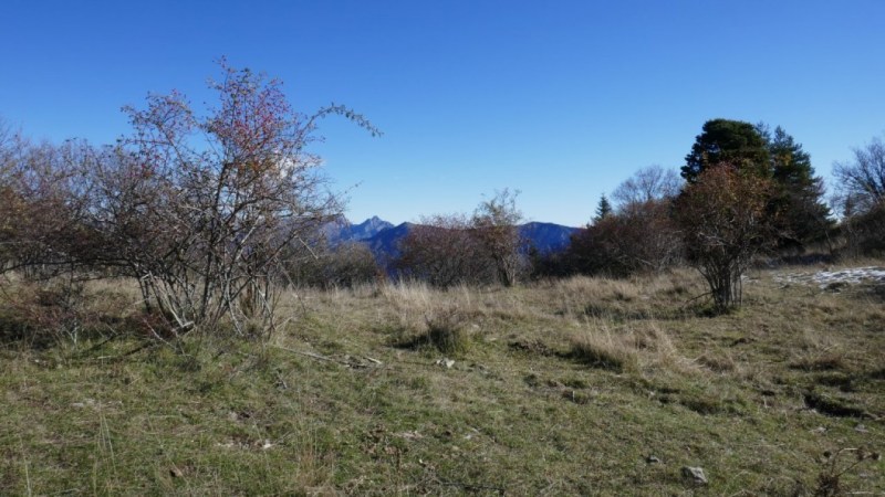 Au Col de Levens, avec le Torragio en fond