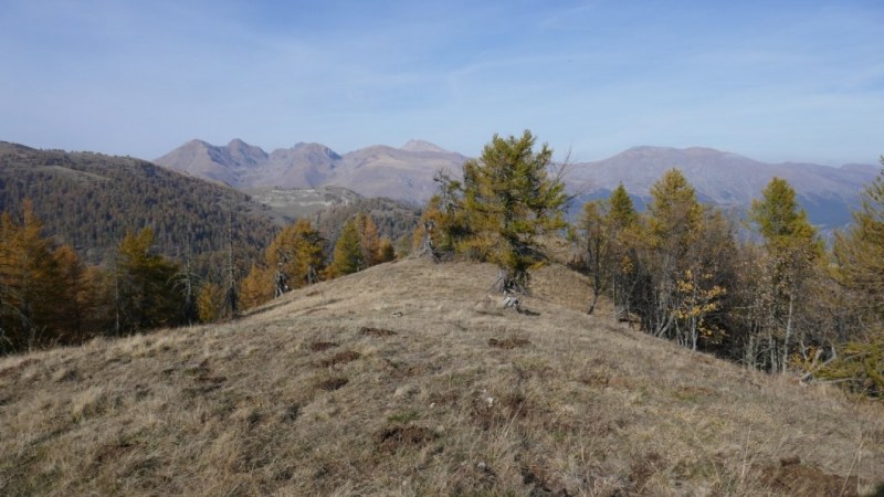 Crête d'automne