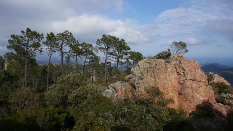 Au sommet des Suvières