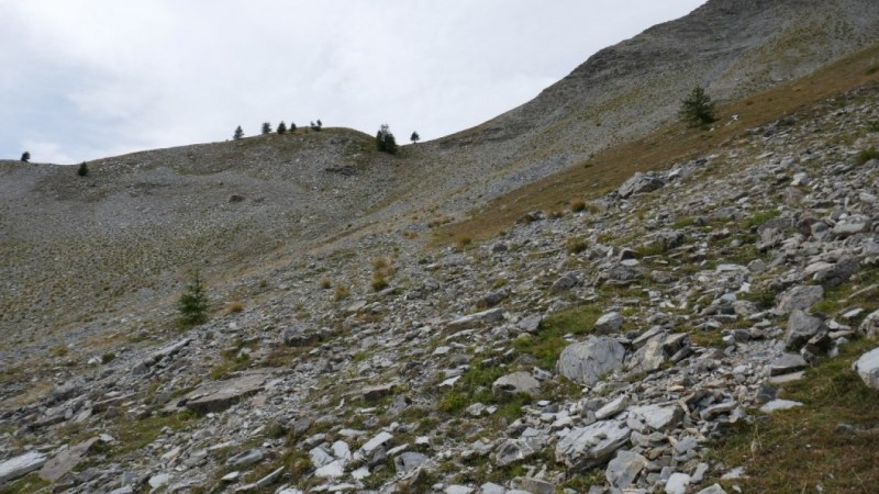 Le petit col avec un arbre au milieu