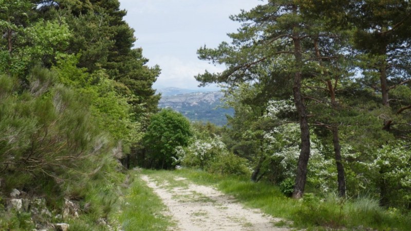 Montée sur la piste qui vient de Nans