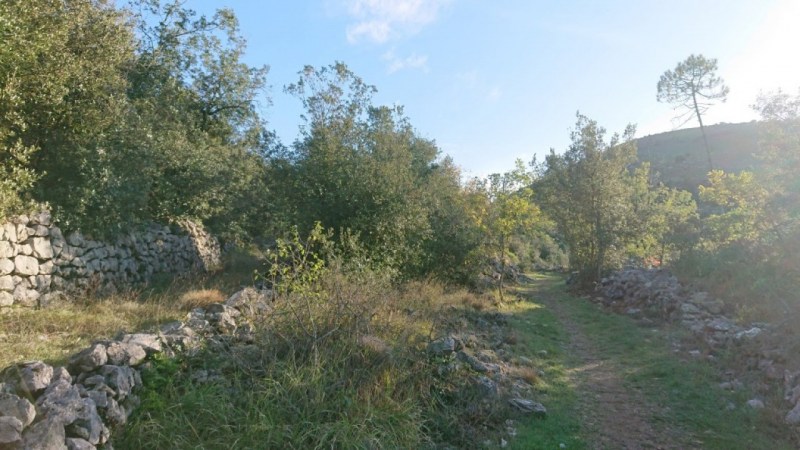 Dans le sous-bois vers le Sargier