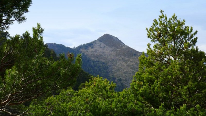 Le Mont Brune apparaît