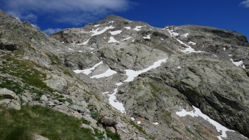 Sous le Mont Clapier