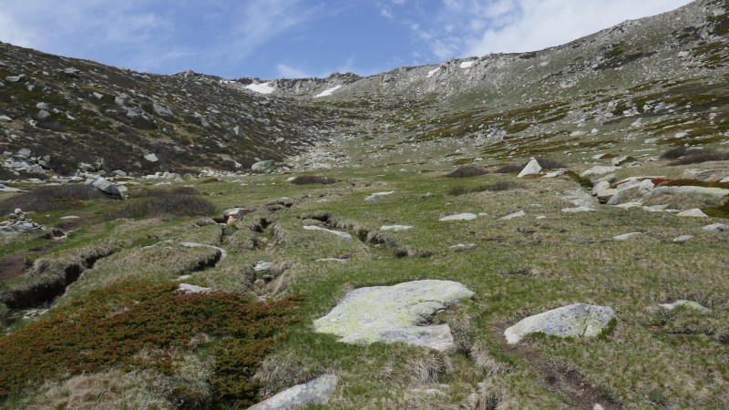 Dans la combe sous la crête