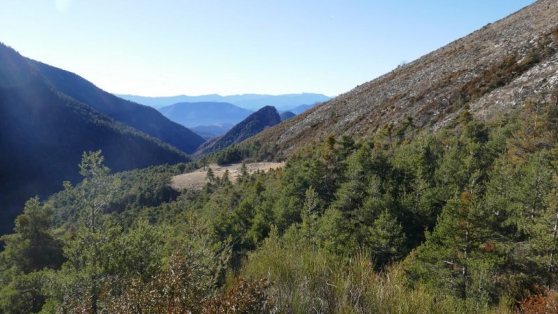 Du Col de Saint-Pons, vers le Grand Palier