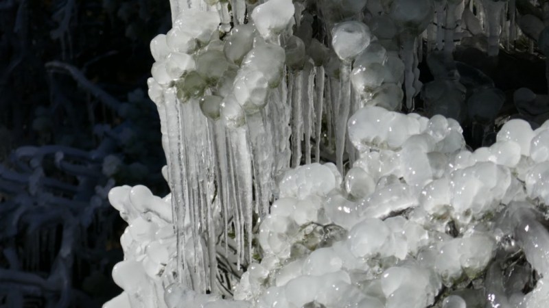 Sculptures de glace, dans le Vallon des Charbonnières