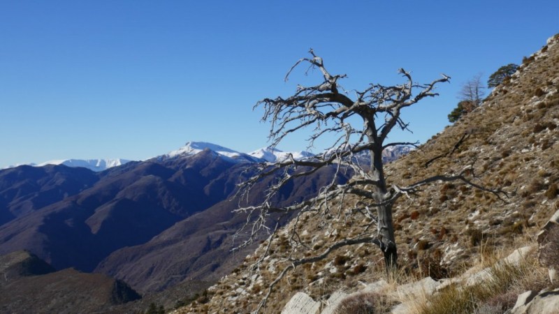 Montée à la Cime de Barluccia