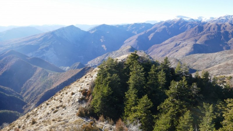 Sur la Cime de Barluccia